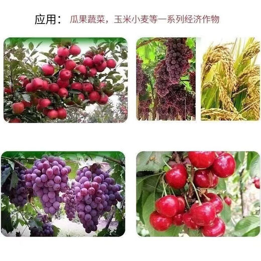 Hengkun compound sodium nitrophenolate original drug original powder 98% cell rejuvenation agent plant growth regulation synergist fully water-soluble foliar fertilizer 500g express
