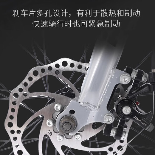 飞鸽自行车公路车公路自行车自行车成人弯把城市通勤代步单车 标配绿|30圈辐条轮+双碟刹+礼包 700C 21速