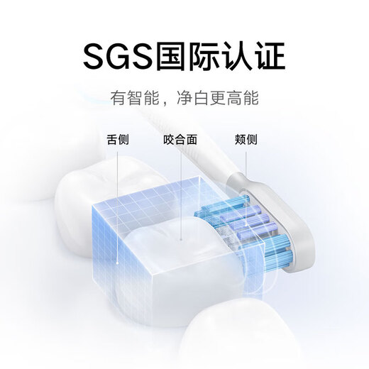 Mijia Xiaomi Sonic Electric Toothbrush T501 Home/Travel Adult/Student High Frequency Brushless Motor Mijia APP 30 Customization Solutions Colorful Lights Chinese Valentine’s Day Gift Recommendations Xiaomi Electric Toothbrush T501 White