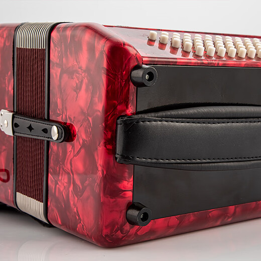 
Parrot PARROT Parrot Bayan Accordion Instrument Adult Children Beginners 60 Bass 96 Bass Grade-Examination Musical Instrument Italian gong 60BSYW-672s Agate Red
