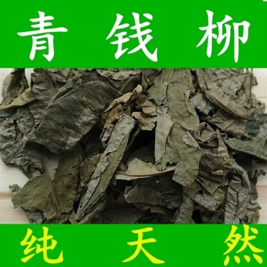 Qingqian Liuyuan Tea de té de hoja Auténtico Jinqian Liu Té de té de azúcar sin agua Jiangxi xiushuiyuan Ecológico Ancient Tree Health Tea 500G