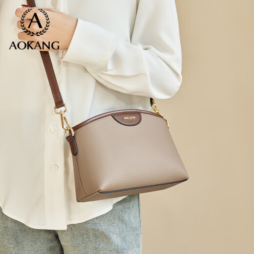 奥康（Aokang）包包女包小方包新款时尚通勤百搭斜跨单肩包生日礼物送女友 大象灰（礼盒款）