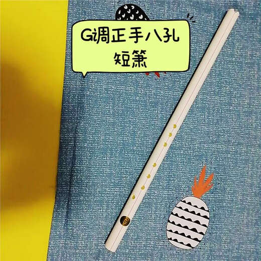 悠颜洞箫通口短箫水管箫口袋箫FGA调初学正反手八孔箫百竹奇声乐器 G调短箫正手通口款（初学推荐）