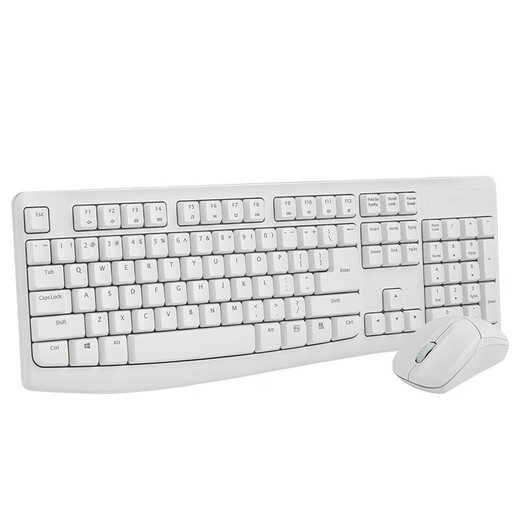 雷柏（Rapoo）X1800Pro无线键鼠套装商务办公光学鼠标键盘 白色（鼠标+键盘套装）