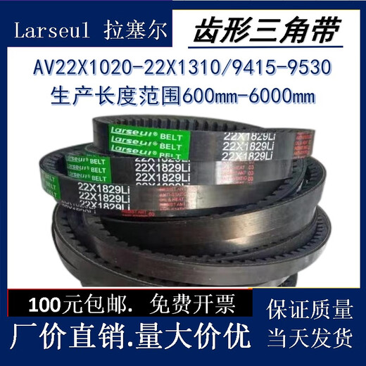 SAIE LRPU toothed V-belt AV22CX1020-13109415-9530 automotive industry engineering machinery transmission belt 22*1150Li(1230La)/9465
