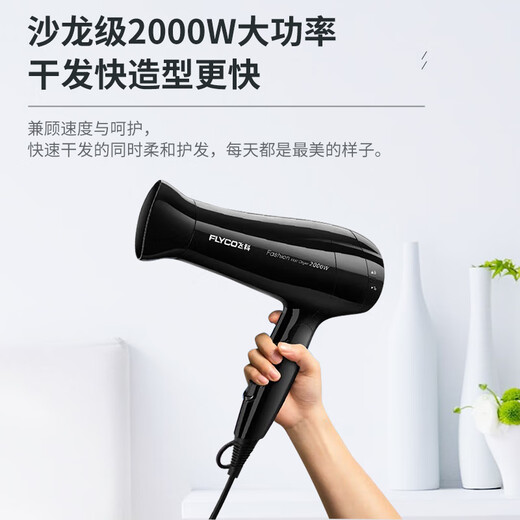 电吹风机家用大功率恒温负离子护发大风力发廊速干风筒FH6231 FH6296[1800W恒温护发 过热保护