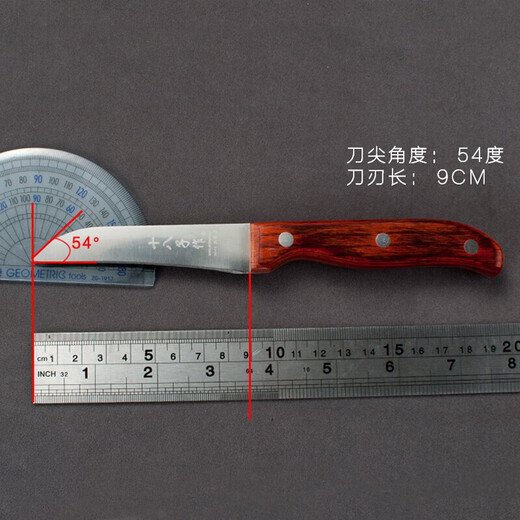 Shibazi Obstmesser mit Holzgriff, Küche, Haushalt, Schälmesser, Melonen- und Obstschälmesser, Edelstahlstange, Obstteller, speziell gebogenes Obstmesser S2302-D