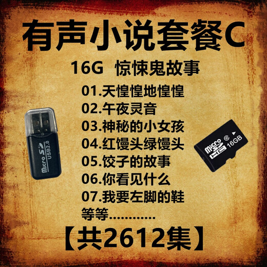 Audio Roman MP3 Memory Card TXT E-Book Beliebte Fantasy Story Story Mobiler Audio Speicher TF-Kartenpaket D Horror Roman Serie 3890 Episode 16/ Standard