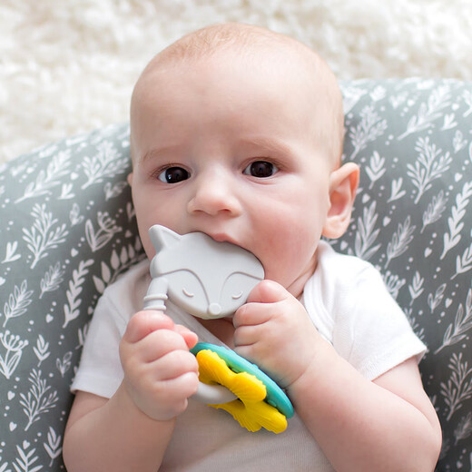 Dr. Brown Baby Teether, Bonnie Rabbit Animal Teether, Fun Teether, Full Silicone, Chewable Teething Glue, Multifunctional Fox