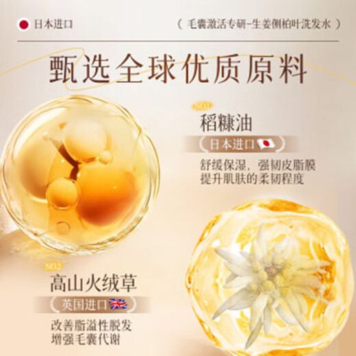 El Dr. Jiao Japón Fat Donglai Shampoo evita la degeneración y ocurre en la aparición de hojas de ciprés de orquídeas de jengibre para fortalecer el crecimiento del cabello y aumentar la densidad y la pérdida de cabello severamente para las mujeres.