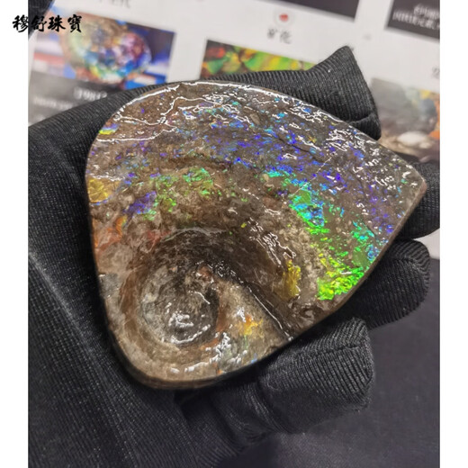 Mushu Canadian natural colorful gemstones, wind water money ornaments, colorful snail heart cornucopia