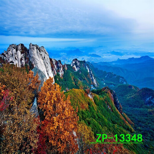 
Internet celebrity live background cloth 3D three-dimensional landscape painting movable high-definition live room outdoor interior background wall ZP-13556 2.5 meters wide - 2.5 meters high (hook type)