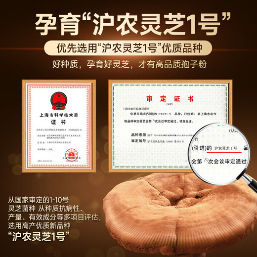 雷允上上海雷允上破壁灵芝孢子粉胶囊上海农科院增强免疫力送长辈年货礼 【礼盒装】破壁灵芝孢子粉胶囊90粒*2瓶