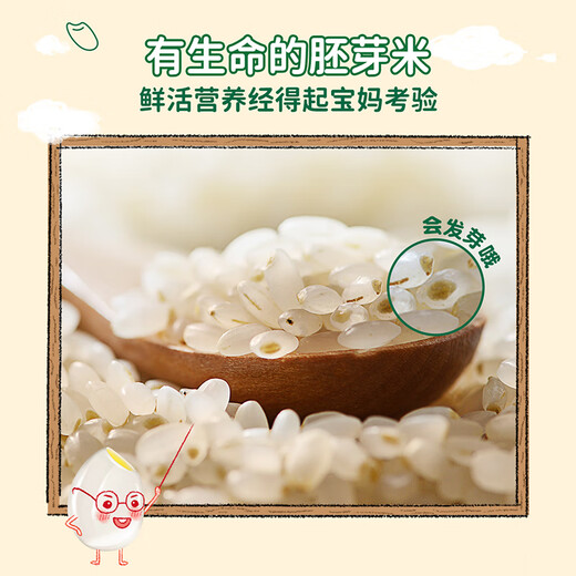 Grandpa's farm organic germ rice 2700g gift box gift cereal rice porridge children's nutritional breakfast staple homemade complementary food