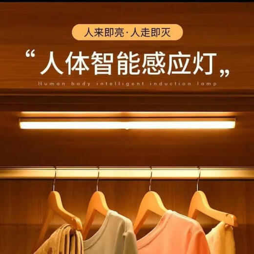 枫岚情 FENGLANQled体感应灯条磁吸灯橱柜灯衣柜酒柜鞋柜usb感应小夜灯长条充电 200mm暖光 白光/暖光