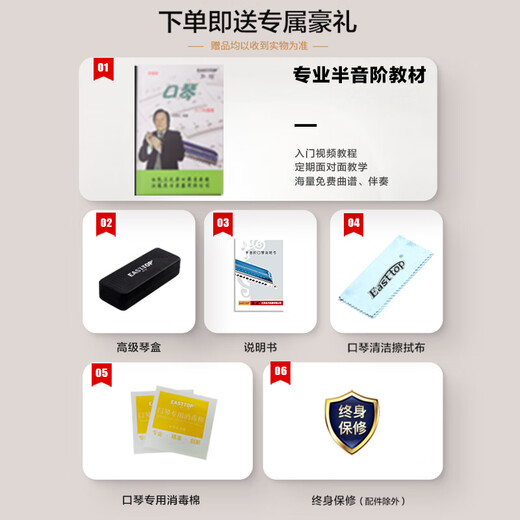 东方鼎（EAST TOP）半音阶口琴ET12 经典黑 专业演奏初学练习通用款 拆卸便捷