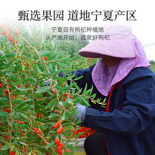 Qilixiang red wolfberry premium large-fruit wolfberry 500g new arrival Ningxia Zhongning first crop no-wash wolfberry tea structure wolfberry tea