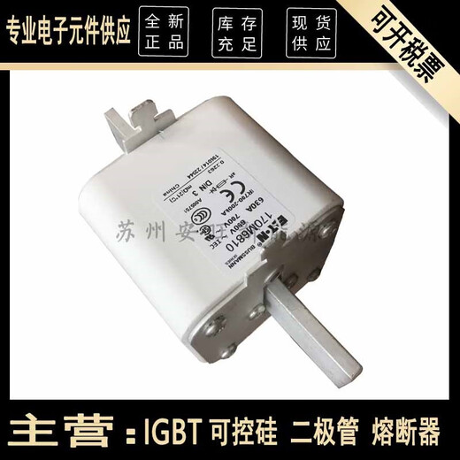 Kleisman 170M6810/6811/6812/16813/6814 NUEVO DE MEDIDO DE SEGURIDAD DE FUSE DE EATON NUNTO 170M6810