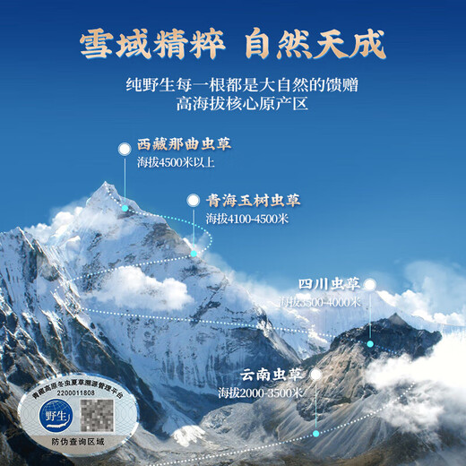 Guokuntang [Wild Traceable] Selected wild Cordyceps sinensis in Nagqu, Tibet, High-altitude first stubble gift box 3.5 roots/g, 5 grams of self-use package