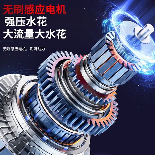 Black Cat Saint General car wash high-pressure water gun car wash machine high-pressure cleaning machine household 220v car wash high-pressure spray gun water spray gun car wash pump