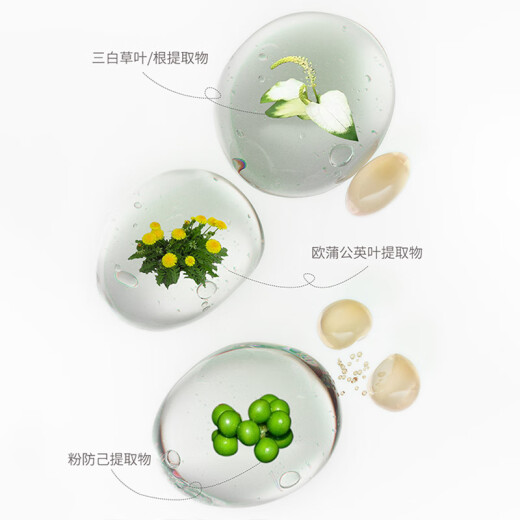 菲诗蔻（FicceCode）洗发水男士女士专用洗护套装生姜控油去屑洗发露强韧发丝洗头膏 坚果 300ml*2瓶 【洗发水+发膜】