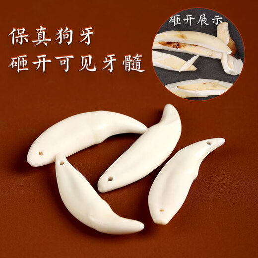 Jinshuitang Black Dog Tooth Necklace Pendant Amulet Baby Children Baby Nightmare Shock Necklace Men and Women's Year of the Life Pendant Single Hole Red Rope Style