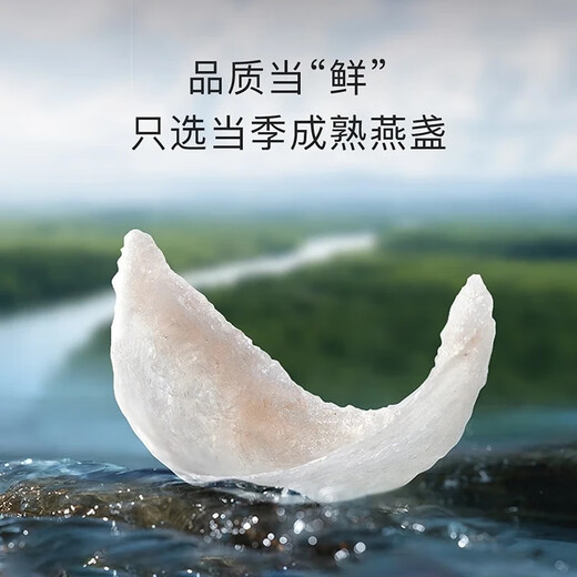 小仙炖倾城系列  干燕窝燕盏50g 礼盒装  送孕妇长辈即食滋补营养礼品