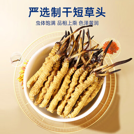 紫蓝花海3-4根/g 1g  冬虫夏草高品质虫草滋补品尝鲜【健康礼盒】
