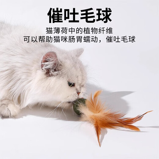 Cat Toy Cat Mint Ball Feather Teeth Grinding Self-Enjoyment Relieve Boredom Cat Grass Slice Ball Funny Cat Stick Cat Hair Loss Cat Special Pet Feather Toy - Mint Ball - 1