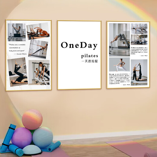 Jingtu Pilates decoration hanging painting yoga studio training classroom wall poster gym shaping studio cultural mural 15 six principles 40 width x 60 height cm KT board + gold PVC