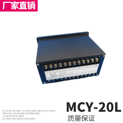Yue Changsheng MCY-20L compartment-type pulse dust removal pulse valve controller panel type 6-way injection pulse meter 8 10 12 10-way AC220V