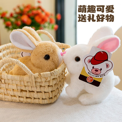 威尔通（WELTSTON）毛绒公仔跳舞唱歌布娃娃玩偶玩具生日礼物女礼品 电动宠物小白兔