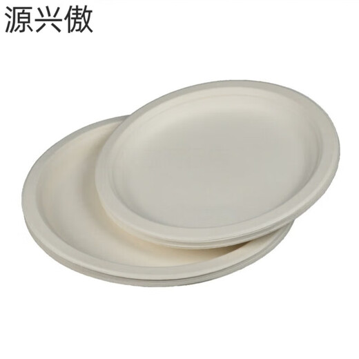 Chanqi disposable dinner plates 6 inches 7 inches 9 inches 10 inches 12 inches thickened paper plates 30cm kindergarten painting handmade diy 12 inches 30 cm paper plates 10 pieces