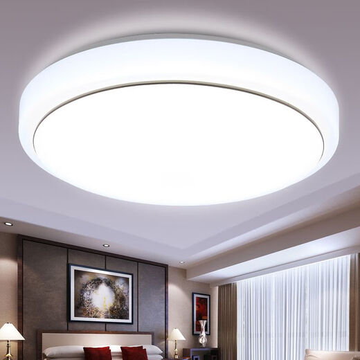 Micro LED ceiling lamp round remote control atmospheric living room lamp modern simple bedroom lamp balcony lamp restaurant lighting diameter 35 cm white light 36 watts camellia style
