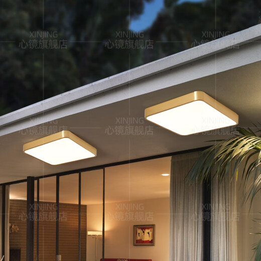 Mirror de corazón de corazón Luz de techo al aire libre de cobre Villa ultra delgada Puerta de entrada Corredor Aisle Balcón Ligero Ligera de la luz del patio a prueba de mosquito X3893-400*600/rectangular