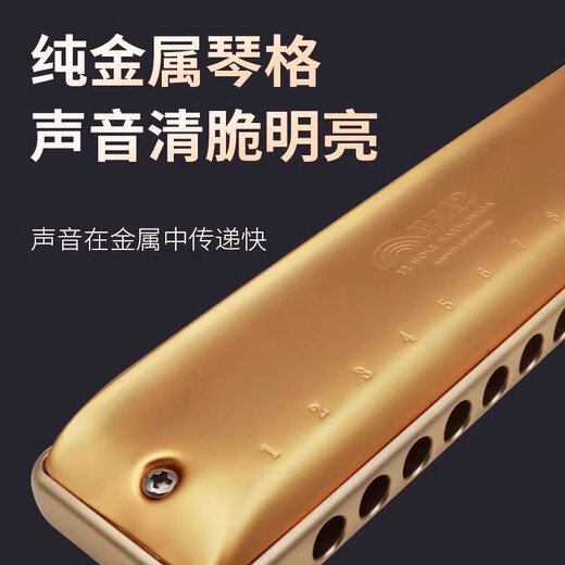 Loch Sound 12 Loch Gesamtskala Blues Harmonica EZ12 Anfänger Tuning Blues harmonica Erwachsener Performance Grad A-Tuning Gold (kein Notwendigkeit, den Klang zu drücken, und mit Bass 46 ausgestattet)