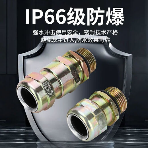 承琉金属Q235碳钢EX铠装接管式双密封防爆格兰头填料函密封接头DN1520 G1/2DN15915