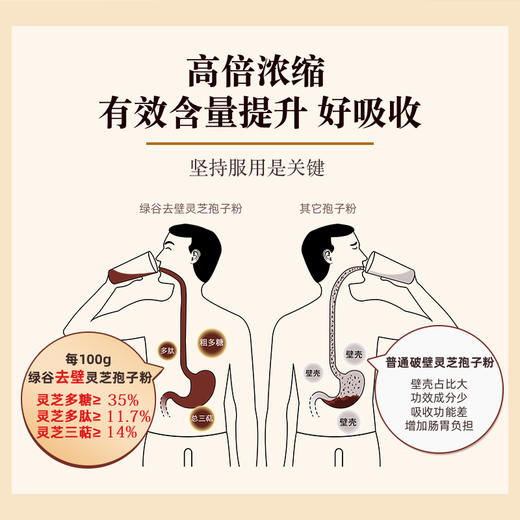 绿谷三萜14%灵芝宝抗辐v射破壁灵芝孢子粉营养保健滋补品增强术后免疫 【健康常在装】12盒卖品（共120包）