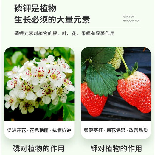 Yuntianhua Potassium Dihydrogen Phosphate Flower Fertilizer Agricultural Potassium Fertilizer Water-soluble Fertilizer for Fruit Trees and Wheat Premium Product 1000g 1 Bag Authenticity Guaranteed