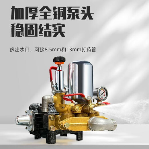 HONDA gasoline engine powered cart 160L agricultural fully automatic sprayer sprayer push sprayer agricultural disinfection diesel powered* water tank 300L hand-pulled 30m* high-quality sprayer tube + sprayer single gun