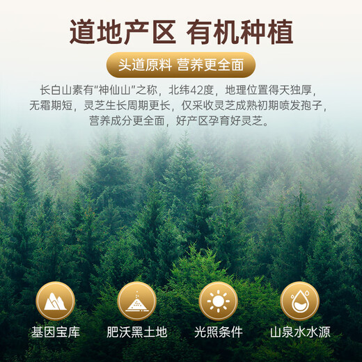 
Chirun [higher amount of effect] Changbai Shantou Dao Break Wall Ganoderma lucidum spore powder enhances immunity rich in spore oil 1g*60 bags/box [Hot sale]