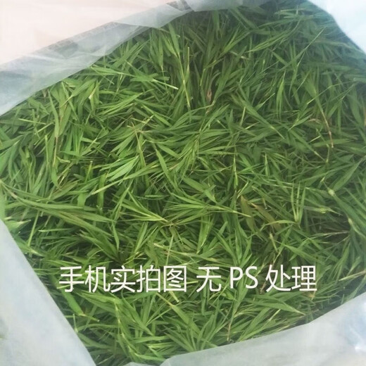 Hongyun Bamboo Leaf Green Tea Dianthus Tea Light Bamboo Tea Bulk Laoshan Bamboo Leaf Tea Bamboo Leaf Green Tea 250g
