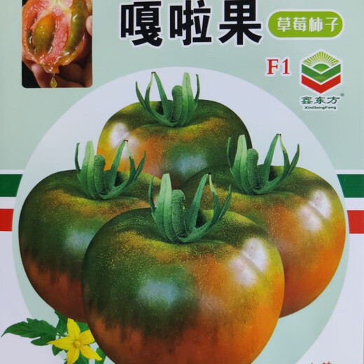 Gala fruit strawberry persimmon seed fruit tomato vegetable seed persimmon seed potted seedling seed also called alkaline persimmon 100 capsules