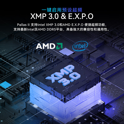 宏碁掠夺者（PREDATOR）DDR5 台式机内存条 PALLAS II凌霜系列 6000频率 C28 Mdie凌霜银 684 96GB 2条套条 48*2