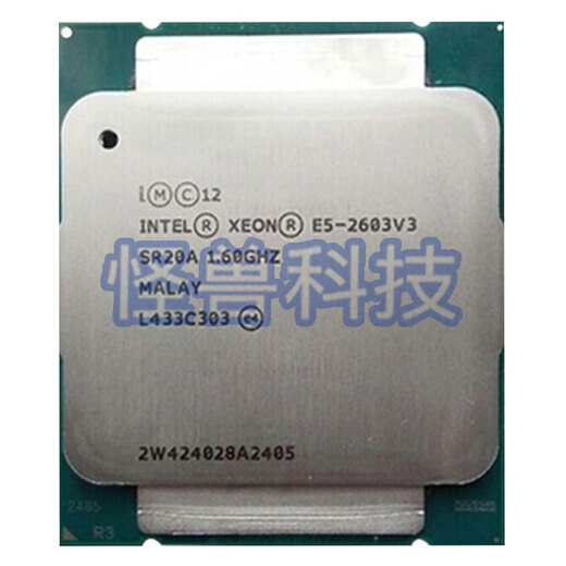 英特尔（Intel）至强E5-2620V3 2603 2609V3 2623V3 2630V3 2640V3 CPU处理器 X79 E5-2603V36核1.6GHz