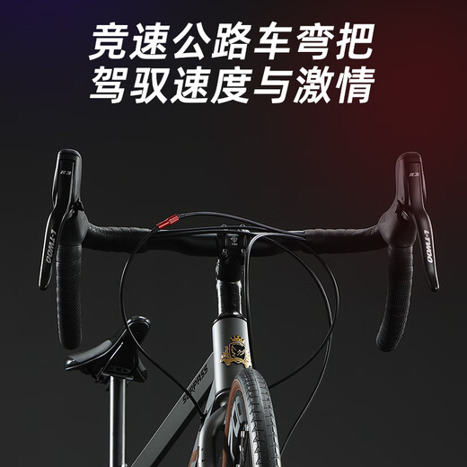 飞鸽（FLYING PIGEON）飞鸽公路自行车700C跑车成人男女青少年大中小学生车竞速骑行单车 超越钢架-公路把-深灰色 24速入门级