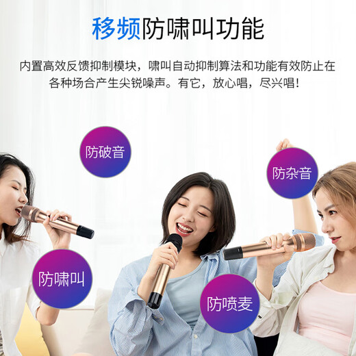 天逸（Winner）AT-2300PRO家用家庭影院全景声影K一体功放7.1声道KTV放大器多功能客厅功放机大功率放大器 AT-2300 PRO