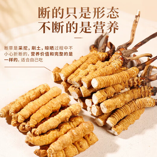Yuanjiang Grass Cordyceps sinensis Selección de Cordyceps vulgaris Paquete asequible para suplementos nutricionales de edad avanzada para regalos de autoalimentación 100 gramos de hierba rota