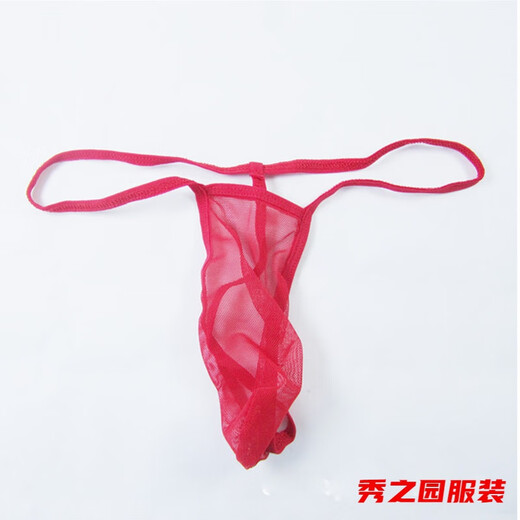 Verzesa Men's Transparent Sexy Underpants T-string Breathable Sexy Pants Sexy Seamless Briefs T Library Fully Transparent 1 Pack Red One Size
