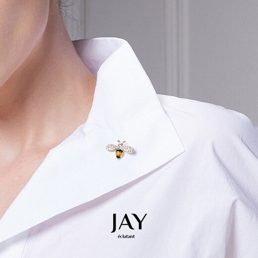 Jay bee collar buckle anti-exposure brooch women's pin corsage as a birthday gift for mother-in-law and elders